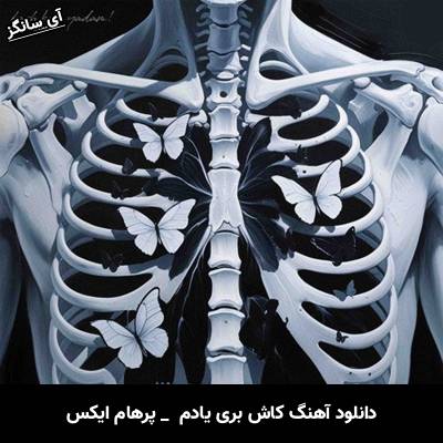 دانلود آهنگ کاش بری یادم همون جوری که راحت از یاد تو رفتم پرهام ایکس